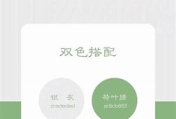 探秘各大抖音热门网站，发现不一样的短视频乐趣与创作灵感