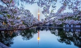 抖音旅行分享：探索最美风景与特有体验的完美指南