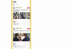 探索猫咪抖音APP：分享萌宠生活的乐趣与精彩