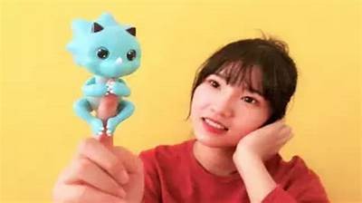 海边小鸟抖阴可爱视频：萌趣动画带你领略自然之美