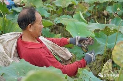 湖南常宁松阴镇周满胶精彩抖音短视频合集，展现无与伦比魅力！