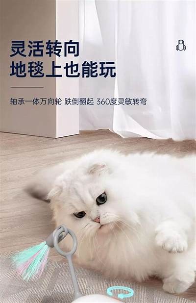 推荐几款与抖阴快猫相似的热门短视频软件