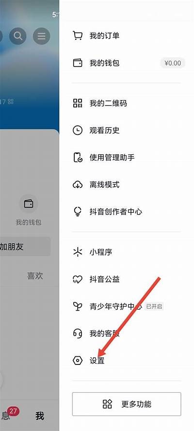 最新抖音夹QQ的使用技巧与实用指南，快来了解吧！