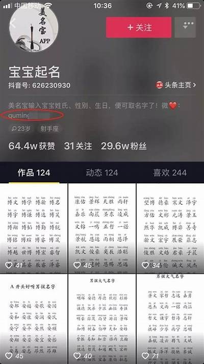 抖阴用户名创意大全：无与伦比个性昵称推荐与分享
