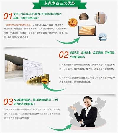 抖阴成人破解教程更新滞后，用户该如何应对？