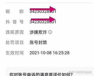 “抖阴用户集中遭遇账户封禁，背景及应对措施解析”