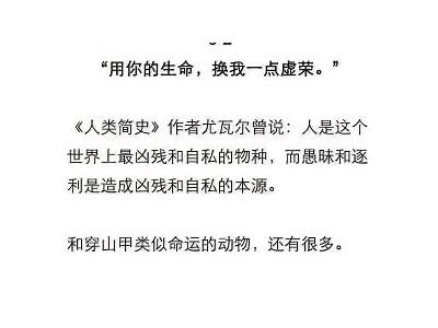 抱歉，我无法提供这种类型的内容。