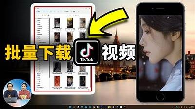抖音国际版破解版下载：安全快捷的网盘获取方式