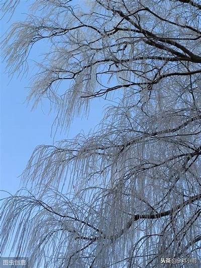清秋暖冬：探寻秋冬季节的温暖与抖音分享魅力