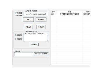 深度解析快手抖阴破解版功能与使用技巧，畅享无限乐趣