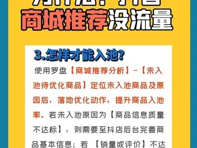 抖阴会员购买指南：如何选择最适合的会员套餐