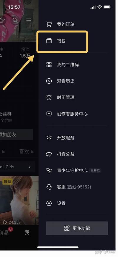 抖阴币广泛解析：如何获得与使用技巧详解