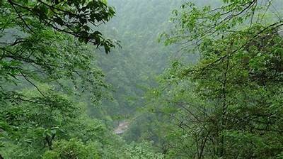 铜仁万山麻阴塘自然风光抖音视频分享，尽享美丽乡村之旅