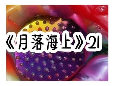 忘忧草抖阴：探索这个神秘植物的神奇疗效与使用