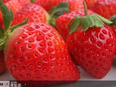 抖阴红草莓：探索新鲜趣味与健康生活方式的完美结合