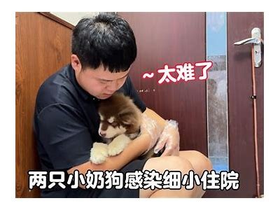 小奶狗app抖阴：探索你的社交新世界