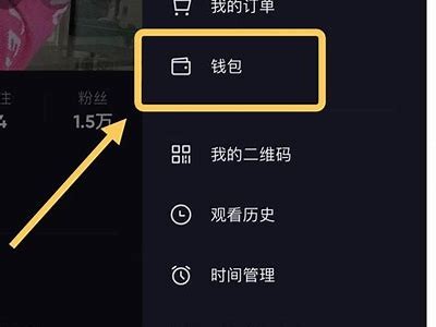 抖阴无限秀币详解：获取攻略与使用技巧分享