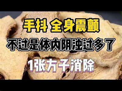 探究“斗阴”动向：不同于“抖阴”的独有魅力与内涵