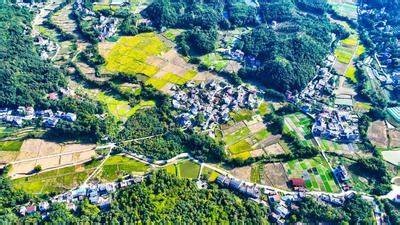 赣州市赣县区沙地镇抖阴：探索乡村振兴与地方特色发展