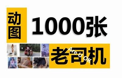 老司机带你探秘抖阴区内幕，揭秘不为人知的网络趣闻与故事