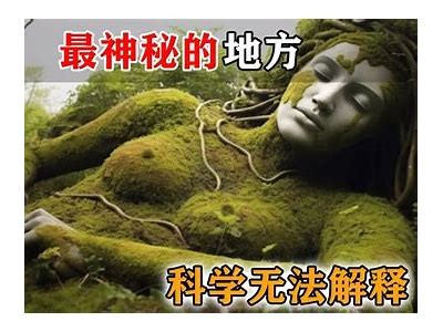 探索神秘社交：与抖阴类似的优质APP推荐及使用体验分享