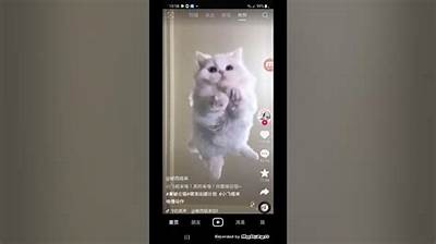 “探索安卓抖阴最新版本：功能与下载指南”