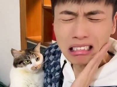 喵咪抖阴：揭秘猫咪搞笑瞬间与可爱行为