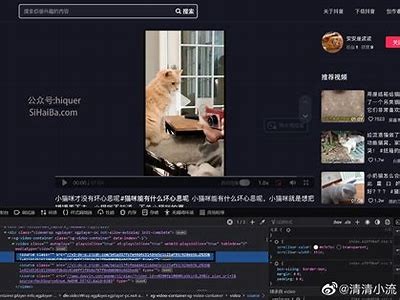 抖音视频在线观看入口：轻松畅享海量精彩内容