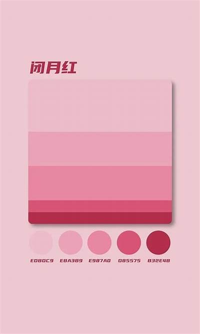 抖音热门视频导航：轻松发现精彩内容与创作者推荐