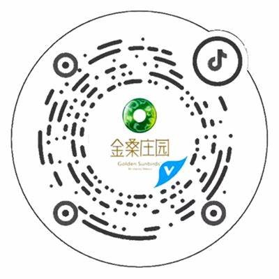 最新抖音直播二维码获取指南，教你轻松找到直播入口！