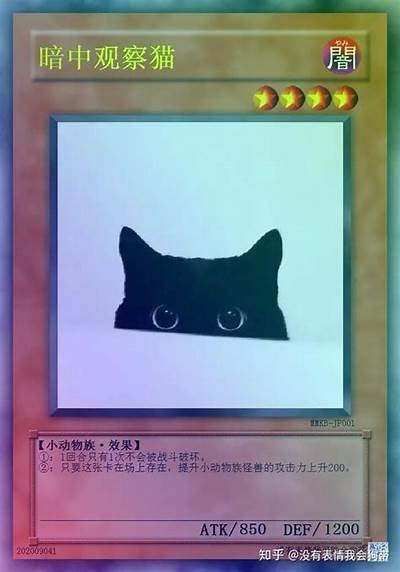 快猫抖阴是什么？揭秘其背后的真实用途与功能解析