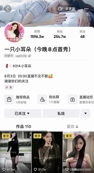 抖阴啊喔哇咿呀：一首充满活力与节奏的原创歌曲的精彩解读与分享