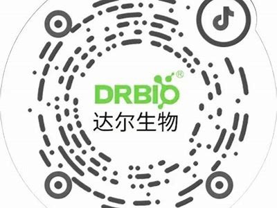抖阴宝盒二维码：探索更多乐趣与惊喜的入口！