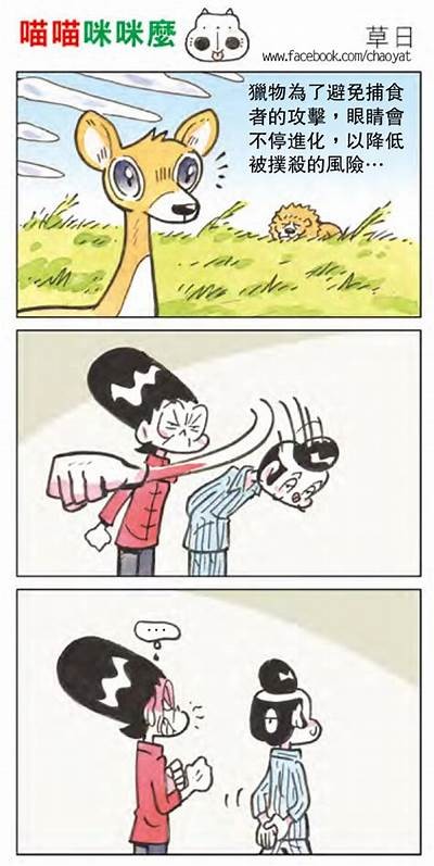 喵咪抖阴：揭秘猫咪的可爱动作与背后故事