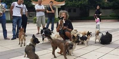 富二代生活曝光：揭秘黄版本背后的奢华与难题