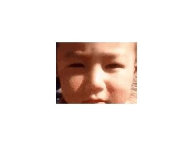 快猫揭秘：下载GIF抖阴技巧与世界记录全解析