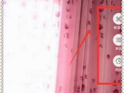 探秘抖音：如何利用douyintv.com提升短视频创作技巧