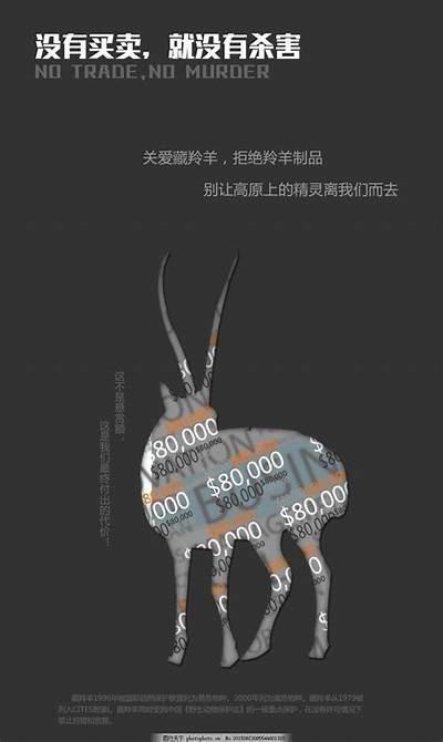 抖阴皮卡农：揭秘这一引爆热潮的游戏新秀与玩法解析