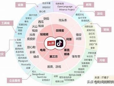 深度解析抖阴911：新兴社交平台的魅力与难题