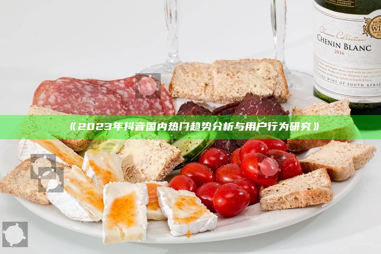 2023年抖音国内热门方向研究与用户行为调查
