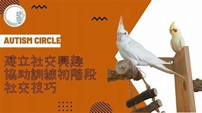 “探索更多社交乐趣：5款超热门的抖阴类App推荐”