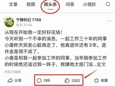 抖阴石榴王：揭秘热销背后的秘密与魅力