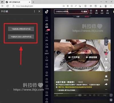 抖音老司机必备：轻松获取热门短视频的软件推荐