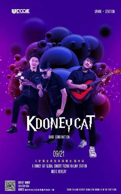 猫咪与抖音：如何拍摄猫咪视频吸引更多粉丝
