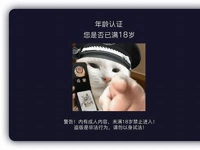 探秘抖阴与抖音的区别：不一样的短视频世界解析