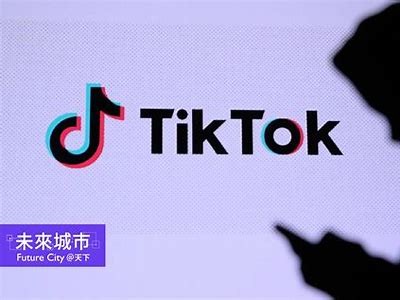抖音平台存在的潜在风险与应对措施检视