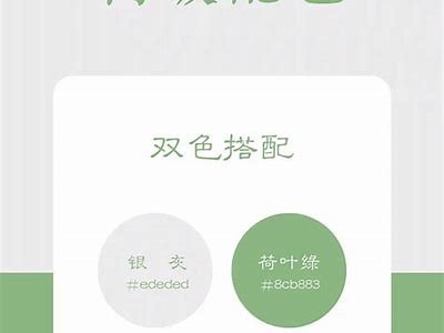 探秘各大抖音热门网站，发现不一样的短视频乐趣与创作灵感