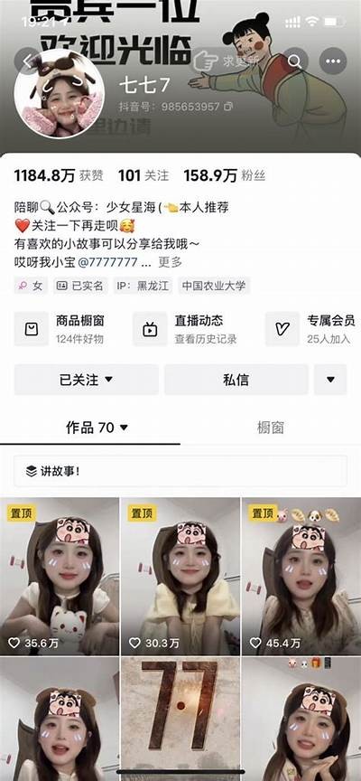 抖音博士：揭秘短视频平台的运营秘籍与成功案例研究