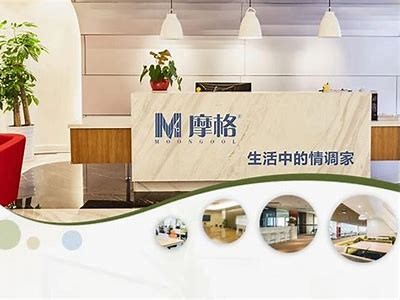 绿巨人：探索P站与抖阴背后的奇妙世界