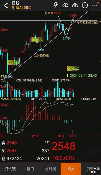 抖阴大湿：撩动心弦的都市爱情小说